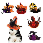 Halloween pet hats featuring pumpkins, spiders, and wizard designs for cats and small dogs with festive colors and decorations.